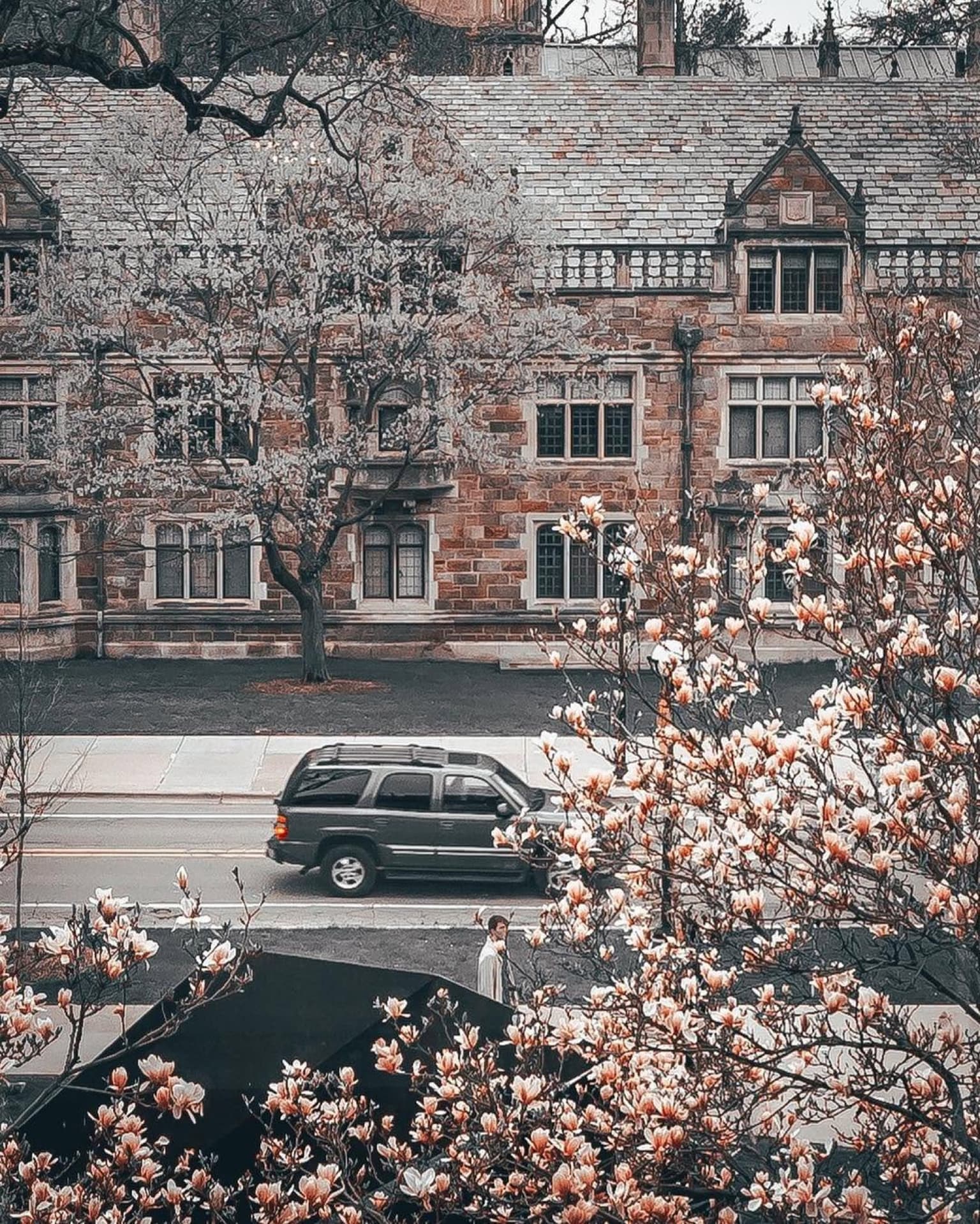 ann arbor in bloom
