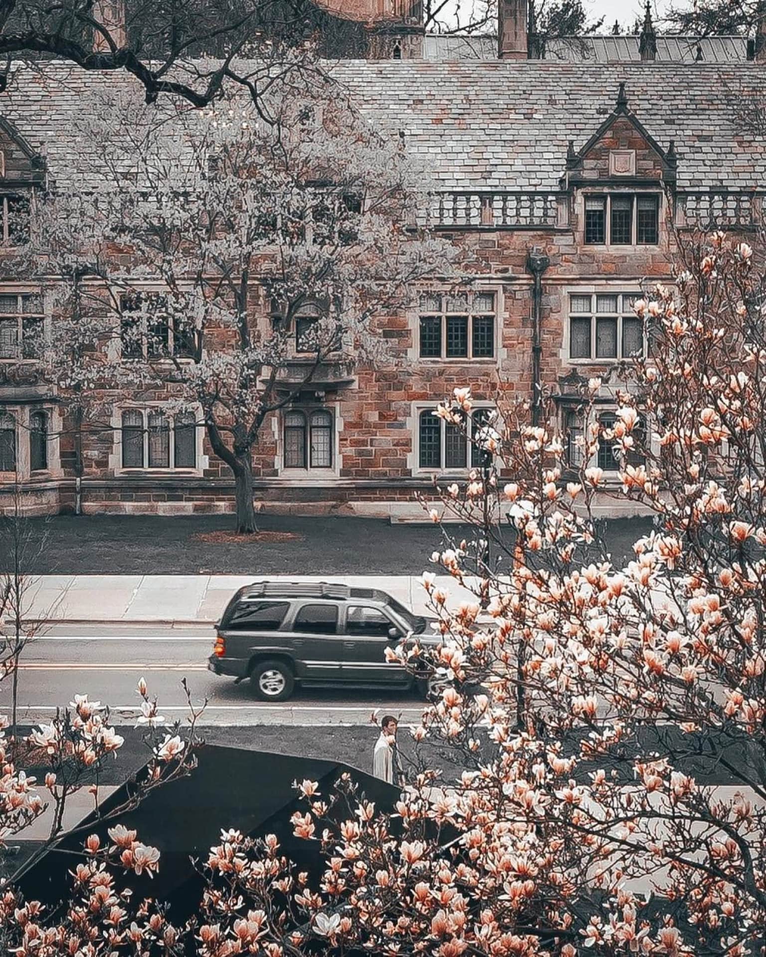 ann arbor in bloom